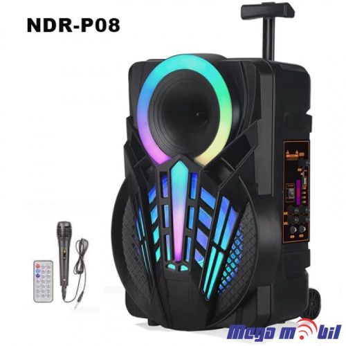 Zvucnik Bluetooth Karaoke NDR-P08