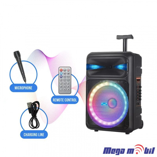 Zvucnik Bluetooth NDR-Q08 Karaoke