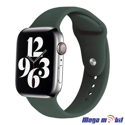 Remce za Smart Watch Apple Silicon 42/44mm green