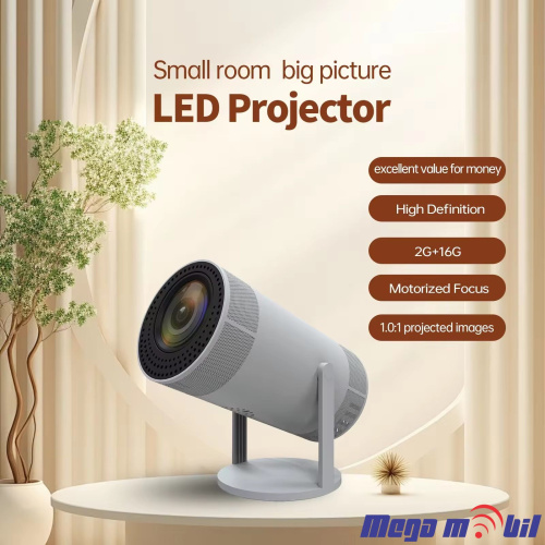 Projector X1