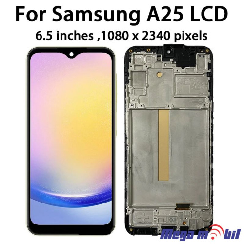 Ekran Samsung A256B/ A25 komplet SO RAMKA full org SH