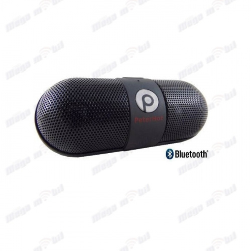 Zvucnik Bluetooth BTS07/LB Black